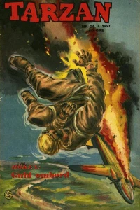 Issue #195224