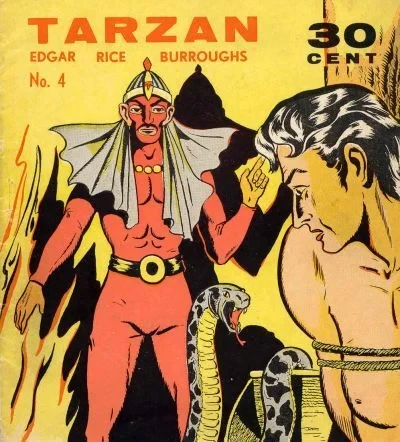 Cover of De rode demoon