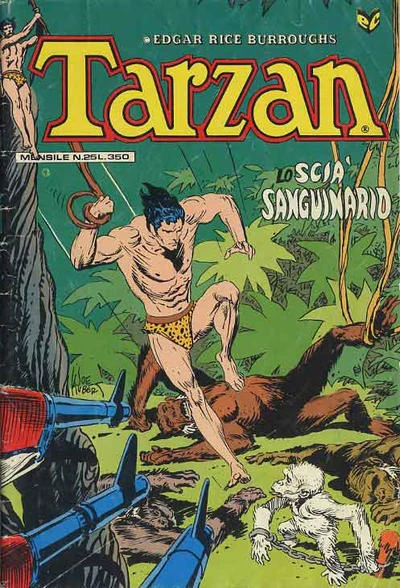 Cover of Issue #25
