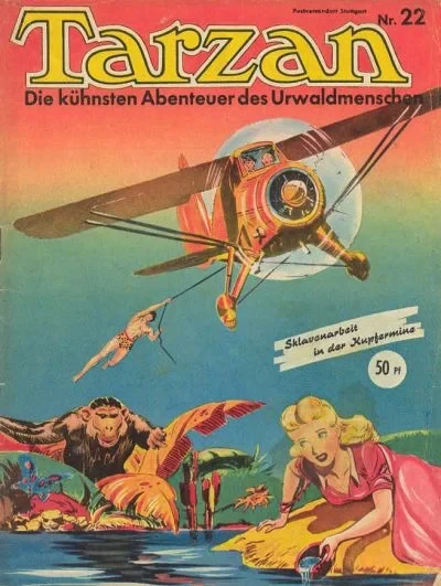 Cover of Issue #22
