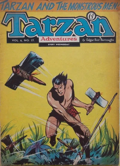 Cover of Issue #6.17