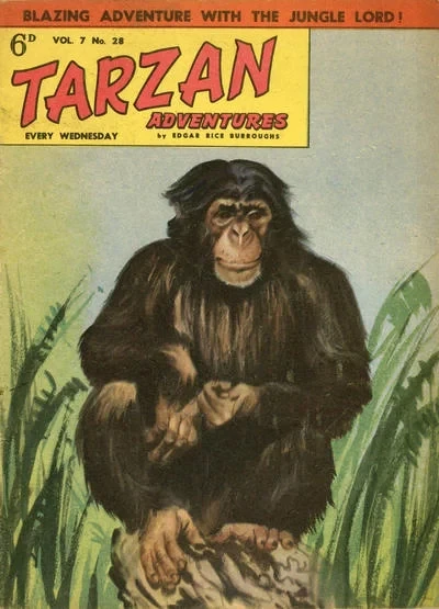 Cover of Issue #7.28