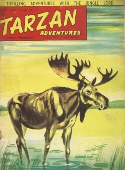 Cover of Issue #7.41