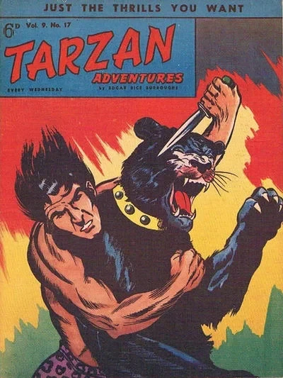 Cover of Issue #9.17
