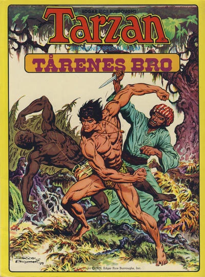 Cover of Tårenes bro