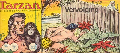 Cover of Vervolging