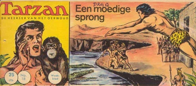 Cover of Een moedige sprong