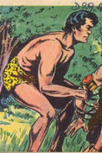 De ridder in het oerwoud