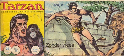 Cover of Zonder vrees