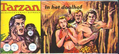 Cover of In het doolhof