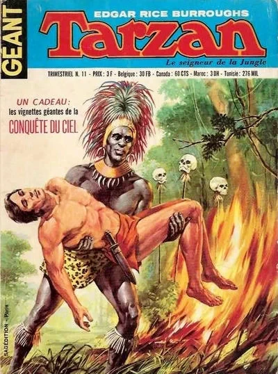 Cover of Issue #11