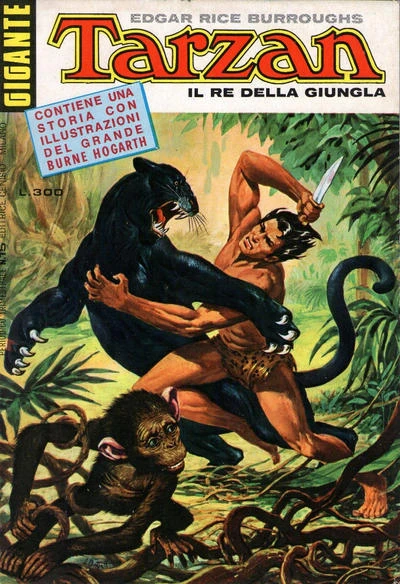 Cover of Issue #15