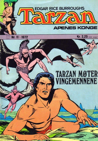 Cover of Issue #197211