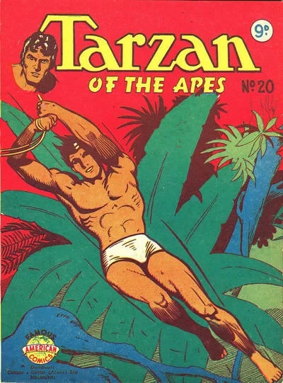 Cover of Issue #20