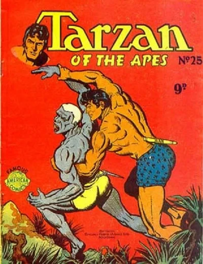 Cover of Issue #25