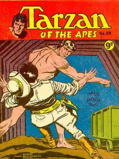 Cover of Issue #29