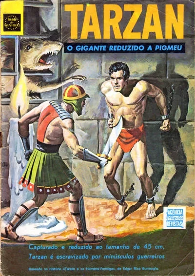 Cover of Issue #20