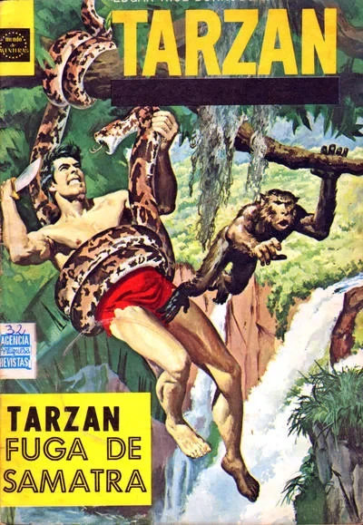 Cover of Issue #37