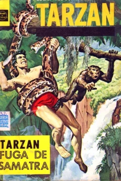 Issue #37