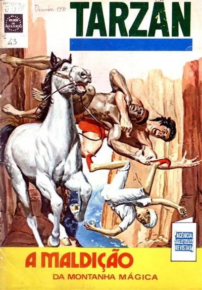 Cover of A Maldicao