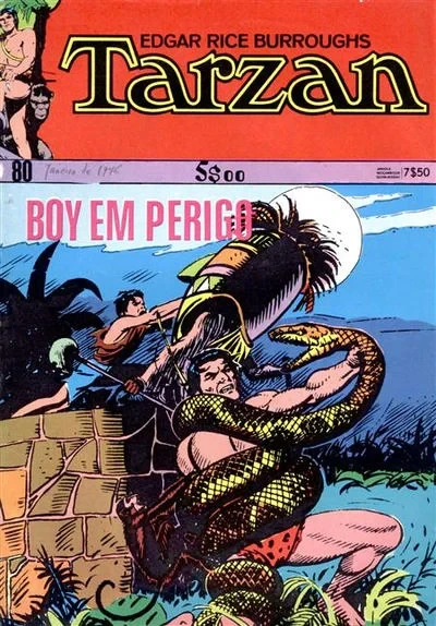 Cover of Boy em Perigo