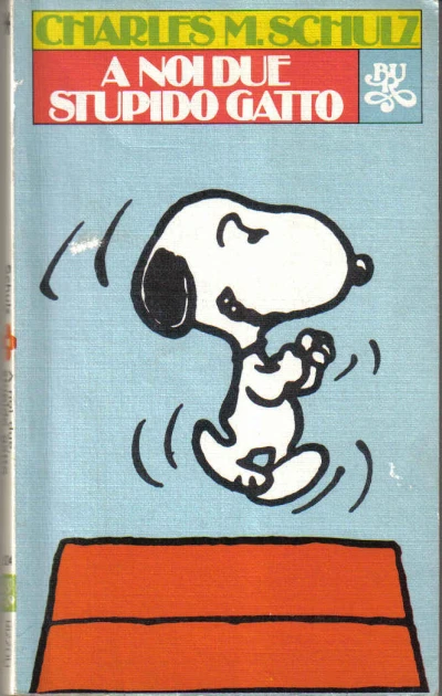 Cover of A Noi Due Stupido Gatto