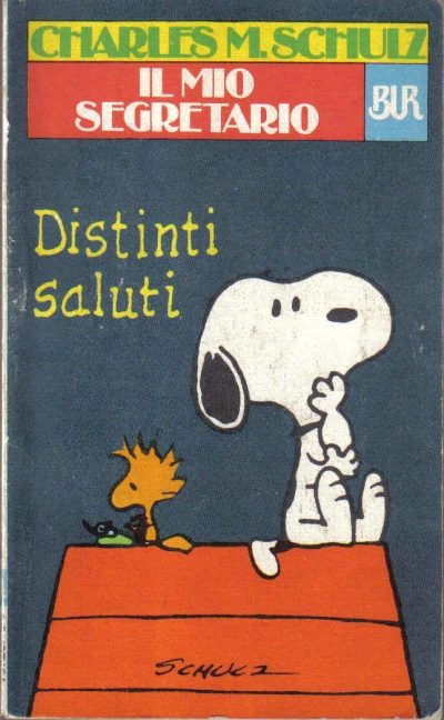 Cover of Il Mio Segretario