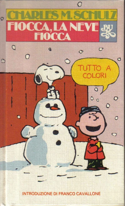 Cover of Fiocca, la Neve Fiocca