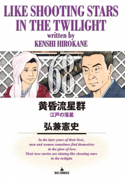 Cover of Edo no Ochiboshi