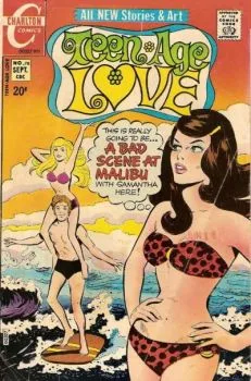 Cover of A Bad Scene at Malibu