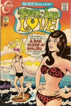 A Bad Scene at Malibu