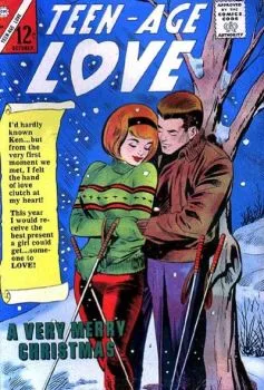 Cover of A Very Merry Christmas