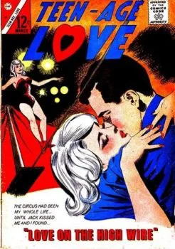 Cover of Love On The High Wire