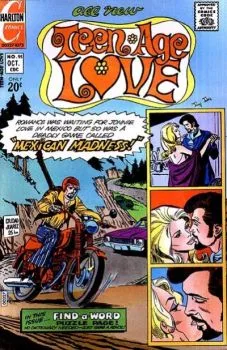 Cover of Mexican Madness