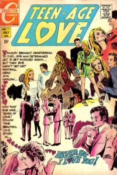 Cover of Never Say I Love You!
