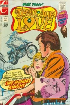 Cover of One Shining Knight