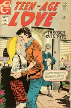 Cover of Through Evil Eyes