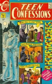 Cover of 4 Honeymooners
