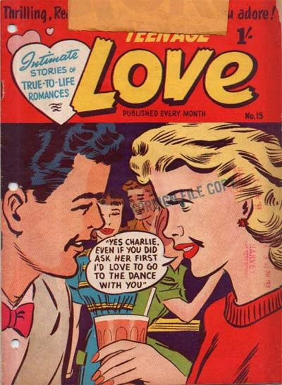 Cover of Issue #15