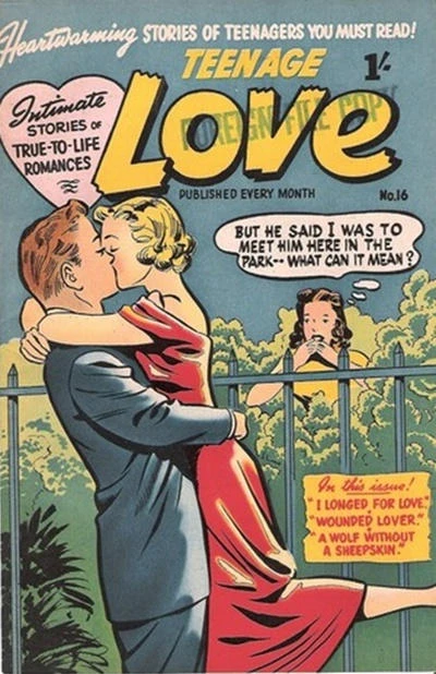 Cover of Issue #16