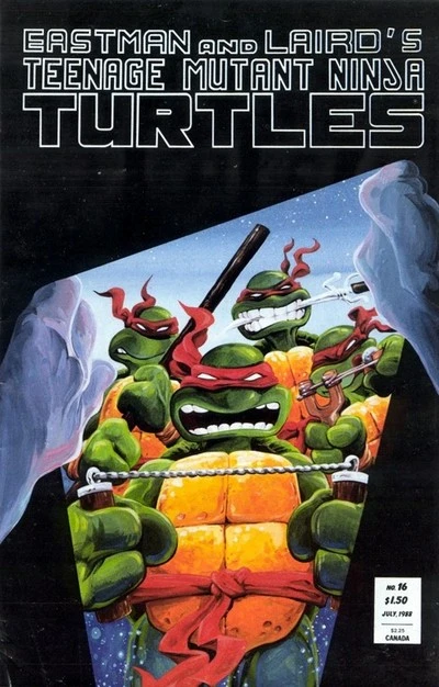 Cover of A TMNT Time Tale