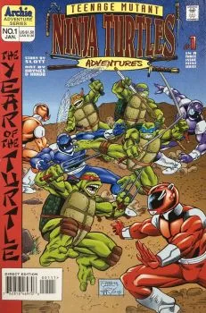 Cover of Year of the Turtle 1