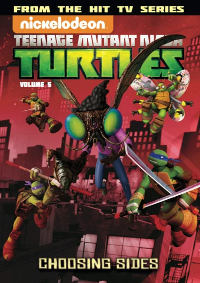 Cover of Choosing Sides