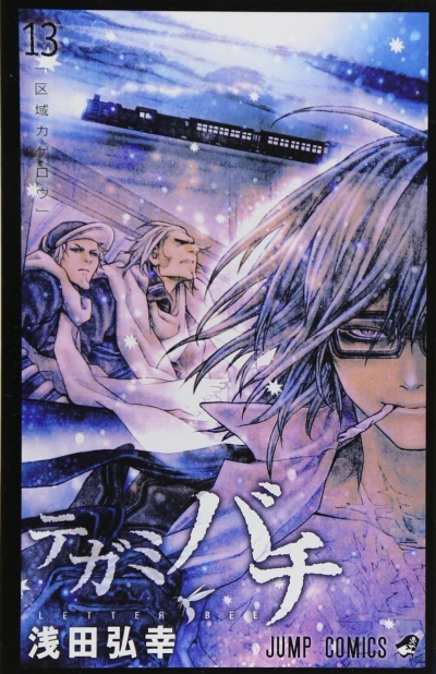 Cover of Volume #13