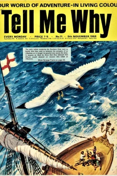 Issue #11