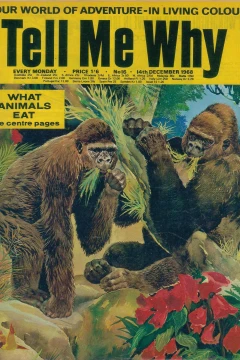 Issue #16