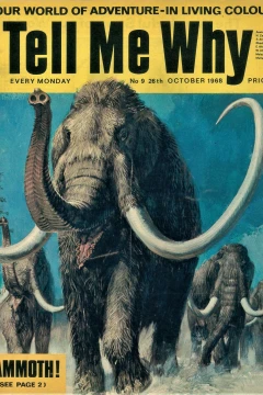 Issue #9