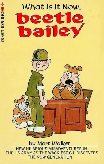 Cover of What Is It Now, Beetle Bailey