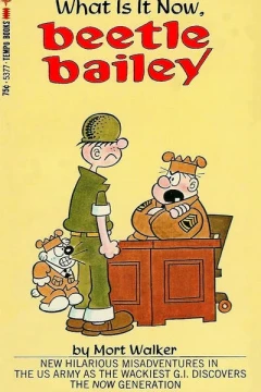 What Is It Now, Beetle Bailey