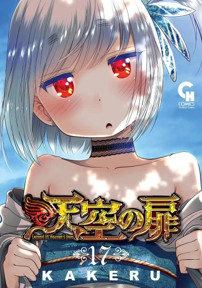 Cover of Vol. 17